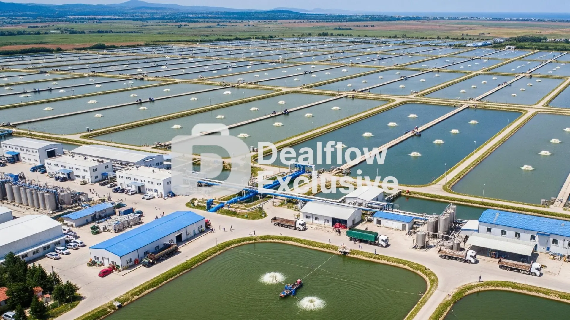 ฟาร์มปลาขนาดใหญ่